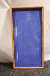 lot 65 image: Framed Blue Display Case with Glass Cover