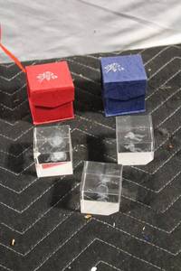 lot 77 image: Set of 4 Decorative Glass Cubes with Etched Designs