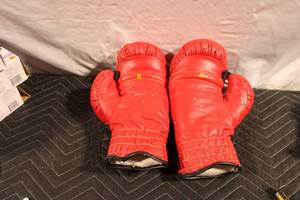 lot 303 image: Pair of Everlast 12 oz Boxing Gloves in Red