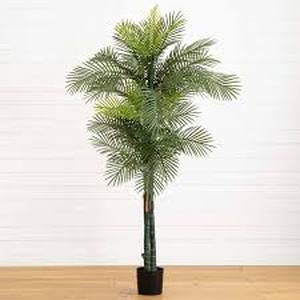 Nearly Natural Indoor and Outdoor 7 ft. Artificial Double Robellini Palm Tree UV Resistant    Customer Returns See Pictures