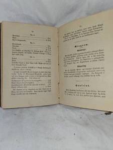 lot 40 image: 1883 Danish Horse HealthVet Informational Book