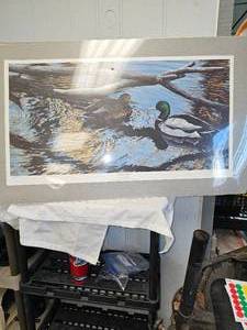 lot 95 image: Ducks Unlimited  Print Unframed, Darren Haley