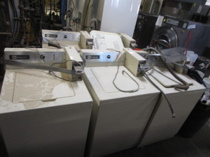 lot 17 image: (5) Maytag Commercial Coin-op Washers