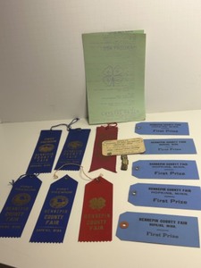 lot 136 image: Vintage 1950s 4-H and Hennepin County Fair Award Ribbon Collection