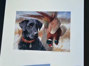lot 177 image: Limited Edition Black Lab and Pheasant Print by Jim Killen 13 x 11 12