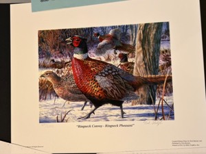 lot 186 image: Limited Edition Nick Reitzel 2008 Ringneck Minnesota Pheasant Stamp Print Artist Signed & Numbered