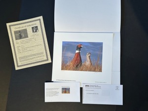 lot 225 image: Signed 2017 Minnesota Pheasant Habitat Print by Scot Storm with Stamp and Certificate