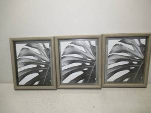 Set of 3 8 x 10 Glass Picture Frames
