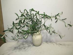 Faux Olive Branches in 9 Vase