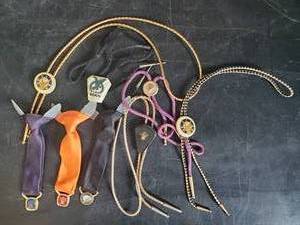 lot 22 image: Lot of Beautiful Rare Elks Lodge Clip on Ties With Medal, and Bolo Ties