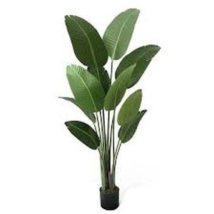 CAPHAUS 5 ft. Artificial Bird of Paradise Plant with 10-Trunks, Realistic Look and Easy Maintenance, Perfect for Home or Office Customer Returns See Pictures