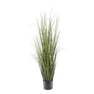 NATURAE DECOR Artificial 47 in. Black Grass Plant  Customer Returns See Pictures
