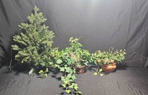 lot 361 image: Lot of Artificial Plants Including Tree, Ivy, and Flower Arrangement
