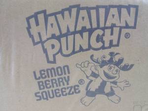 (B-3) 4 - 8-Packs of Hawaiian Punch...