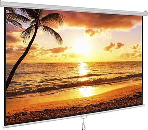 lot E-362 image: SUPER DEAL 100 1610 HD Projection Screen Foldable Anti-Crease Portable Projector Movie Screen Manual Pull Down for Home Theater Presentation Education Outdoor Indoor Public Display, White