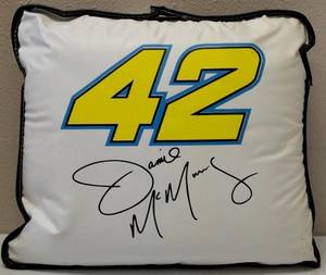 lot 60 image: 42 NASCAR Seat Cushion