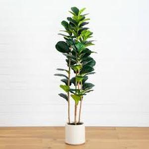 Nearly Natural 6 ft. Artificial Fiddle Leaf Tree in Decorative White Planter Customer Returns See Pictures
