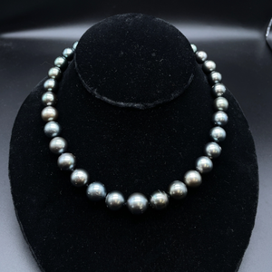 lot 299A image: South Sea Cultured Pearl Single Strand Necklace w 14k Gold Clasp  Report Retail $8,570