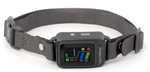 lot 442 image: Premier Pet Bark Collar with Digital Display - Reduces Barking quickly & safely