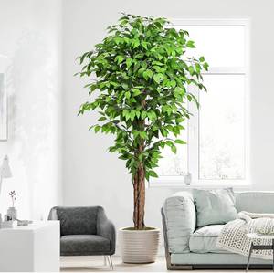 lot 197 image: Brand New Keeplush 6.25 Ficus Artificial Tree with Three Natural Curved Trunks $89.99 Retail B