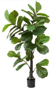 lot 168 image: New 6ft Artificial Plant Fiddle Leaf Fig Tree,Faux Ficus Lyrata in Pot $69.99 Retail B