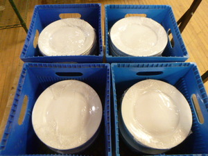 90 White Dinner Plates