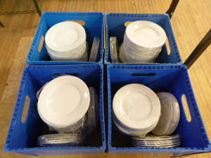 110 Salad Plates