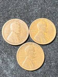 3 US WHEAT CENTS 1919P-D-S