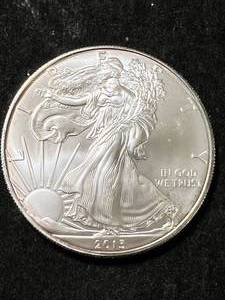 2013 AMERICAN SILVER EAGLE 1 TROY OZ .999 FINE SILVER