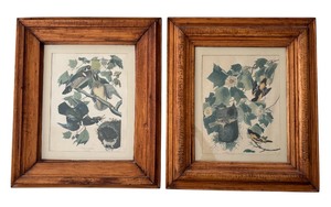 lot 60 image: Gorgeous Pair of Vintage Framed Wall Art, Birds Summer if Wood Duck and Baltimore Oriole