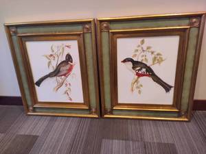 lot 40 image: John Gould South American Birds Framed Art Pair