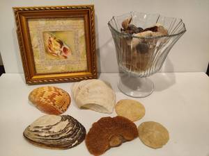 lot 71 image: Lot of Asst ShellsShell Decor