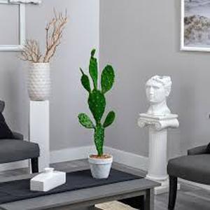 lot 30 image: 37 in. Indoor Cactus Artificial Plant by Nearly Natural  Customer Returns See Pictures