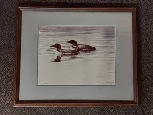 lot 31U image: Tom Mangelsen Limited Edition Framed Art Print 263950