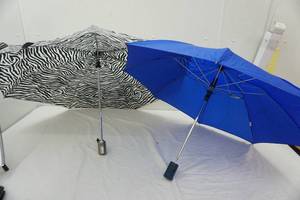 lot 106 image: umbrella lot