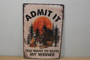 lot 123 image: Novelty Metal Sign -Admit It