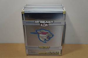 lot 144 image: Mr Beast Panther 6.5 Collectors Figure