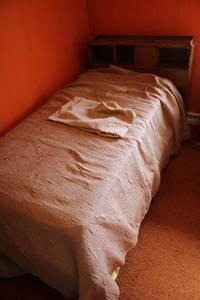 lot 147 image: Vintage Twin Size Bed with Built-in Shelving Headboard