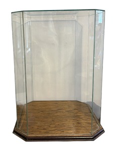 lot 494 image: Glass Display Case