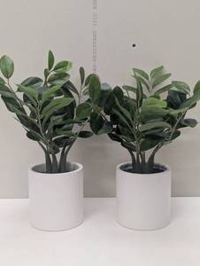 lot 64 image: Pair of Faux Oliver Plants for Desk or Shelf - Threshold