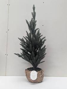 lot 75 image: 30 Studio McGee Faux Evergreen in Weave Basket