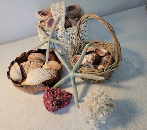 lot 155 image: Shell  Coral  Star Fish Specimens