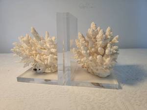 lot 156 image: White Sea Finger Coral Acrylic Bookends