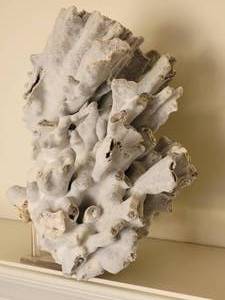 lot 158 image: Natural Gray Palawan Coral Specimen