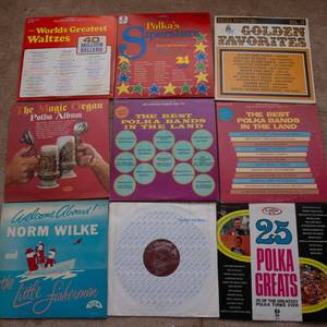 lot 148 image: Lot of 9 Vintage LP Vinyl Records  Various Artists & Genres - Norm Wilke, Polka