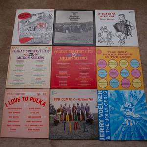 lot 152 image: Lot of 9 Vintage LP Vinyl Records  Various Artists & Genres - Mainly Polka