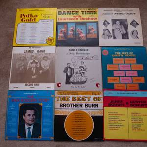 lot 155 image: Lot of 9 Vintage LP Vinyl Records  Various Artists & Genres - Lawrence Duchow, Christy Hengel, Brother Burr