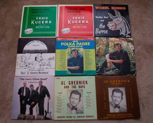 lot 160 image: Lot of 9 Vintage LP Vinyl Records  Various Artists & Genres - Ernie Kucera, Polka Padre, Al Grebnick