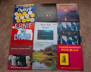 lot 168 image: Lot of 9 Vintage LP Vinyl Records  Various Artists & Genres - Mainly Polka