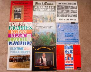 lot 493 image: Lot of 9 Vintage LP Vinyl Records - Various Artists and Genres - Mostly Polka